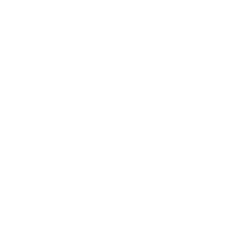 SkyFusion Technologies logo