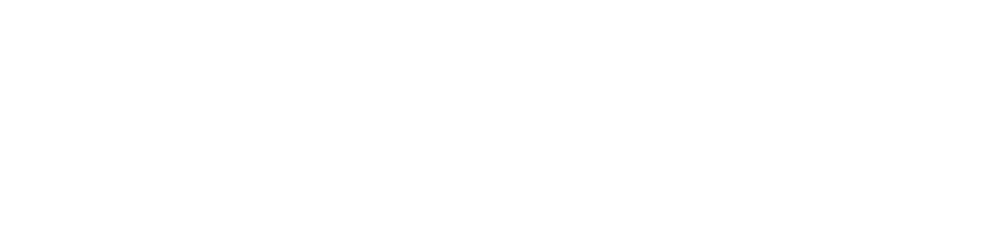 SkyFusion Technologies logo